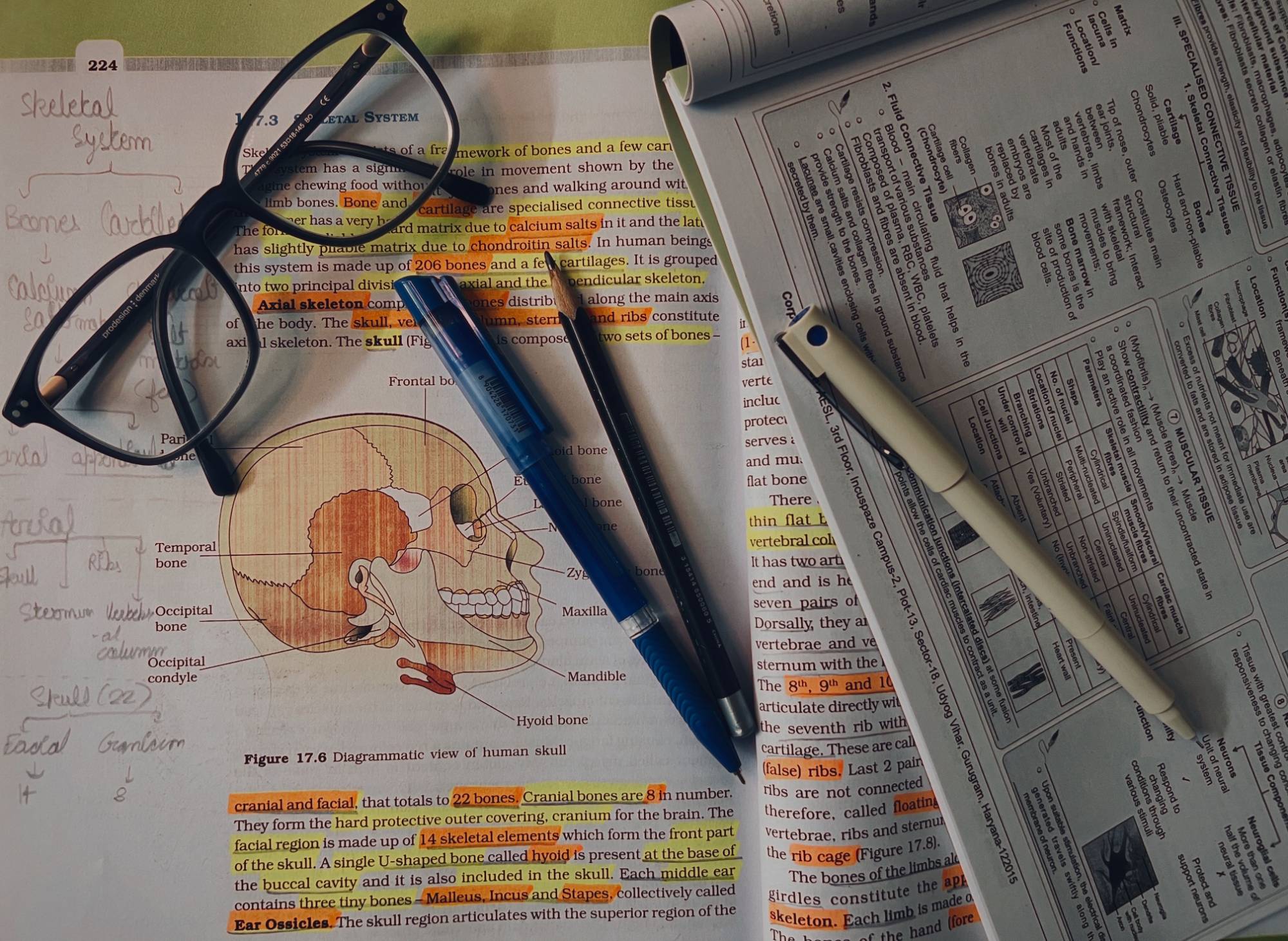 Manual escolar com texto sublinhado a marca-texto e notas manuscritas num esquema, com uns óculos e canetas sobre a secretária de estudo